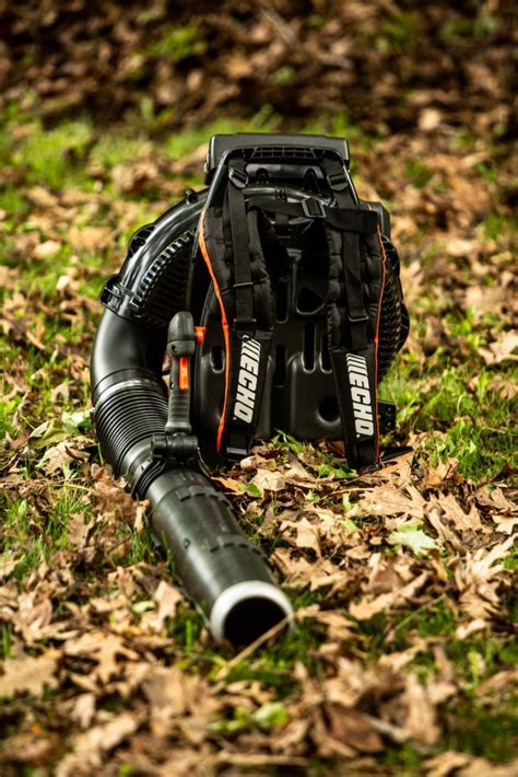 pb echo|echo most powerful backpack blower.